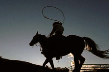 Canada-Alberta-Porcupine Hills Working Ranch and Round Ups